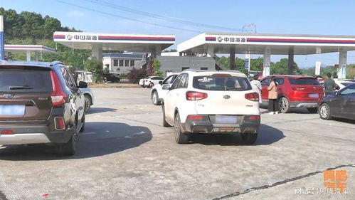 高速服務區停車休息需謹慎，避開這些“坑”才能安心出行